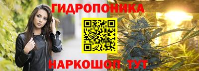 скорость Рыбинск