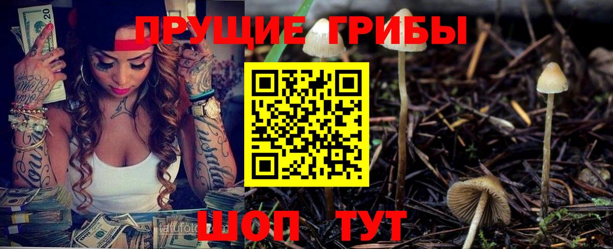 Псилоцибиновые грибы Psilocybe Муравленко